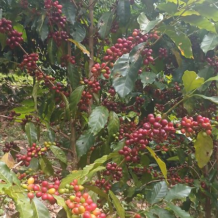 Finca Magdalena Eco Lodge Balgue Dış mekan fotoğraf