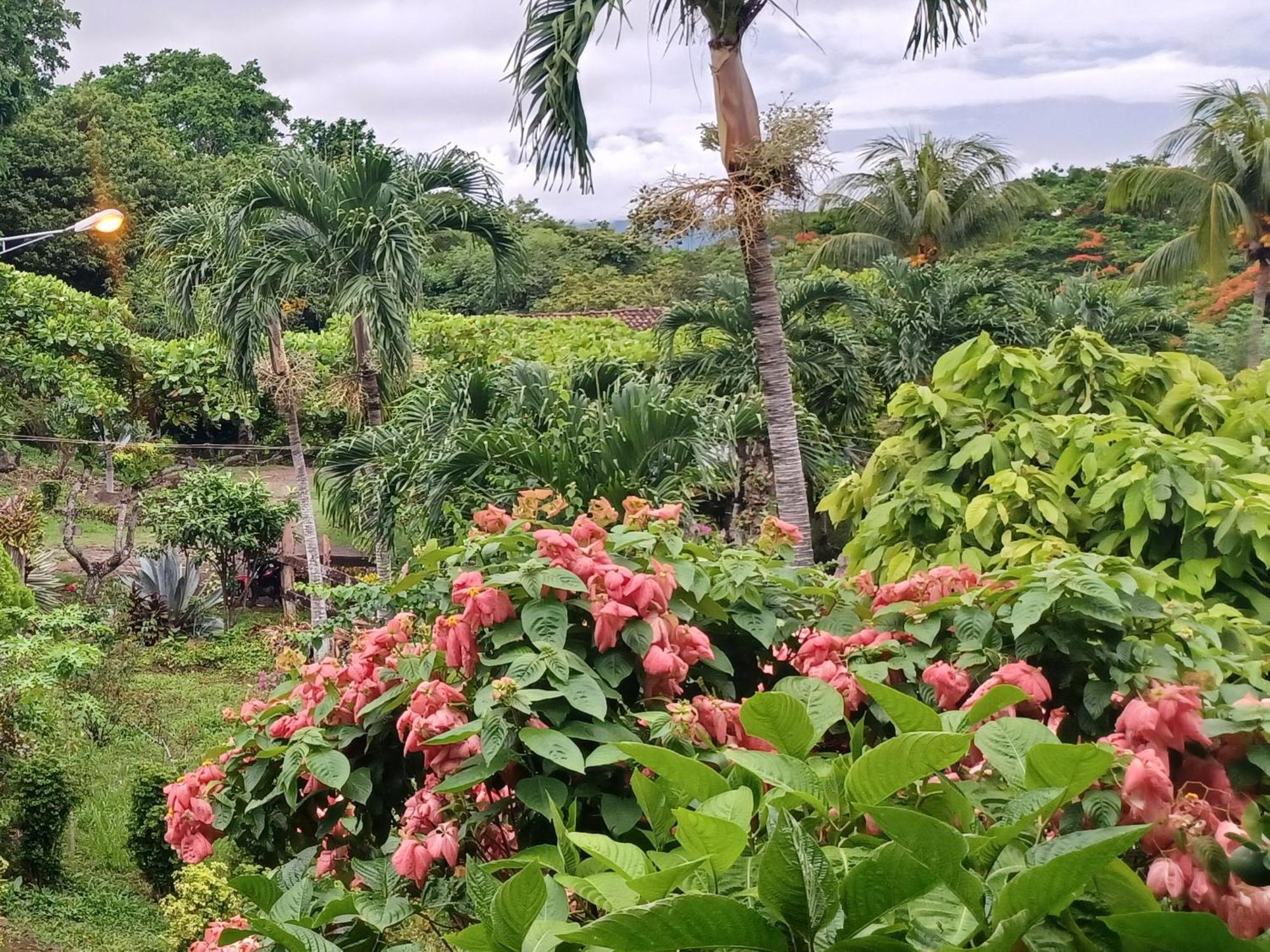 Finca Magdalena Eco Lodge Balgue Oda fotoğraf
